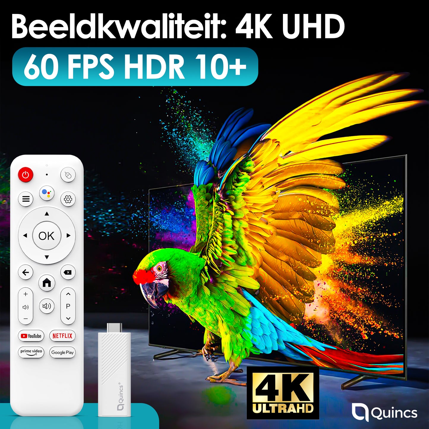 Quincs TV Stick